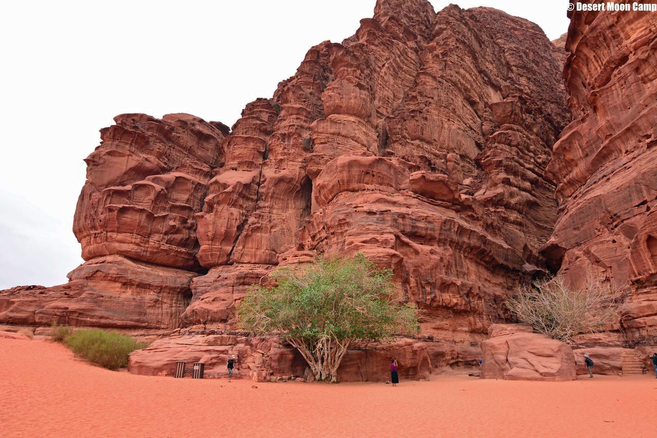 Desert Moon Camp Ram Vadisi Dış mekan fotoğraf