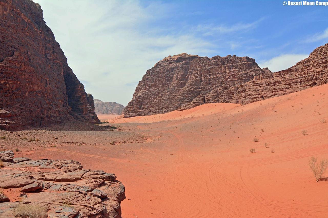 Desert Moon Camp Ram Vadisi Dış mekan fotoğraf